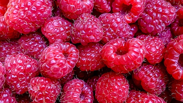 Texture background from a large number of raspberries natural berry background