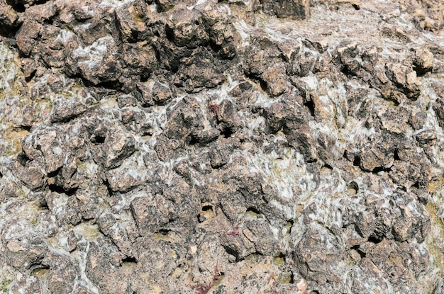 Texture background of natural rock