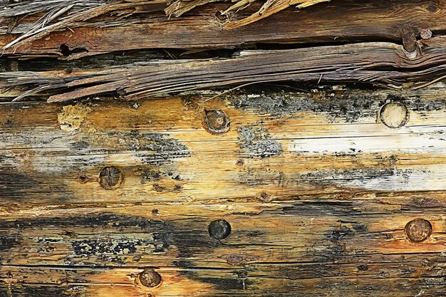 texture background old logs/abstract gray nature background;