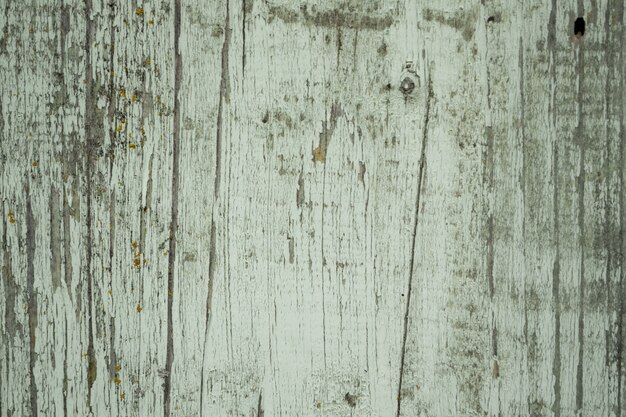 Texture background. Old wood boards with old nails