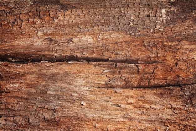 Texture and background of old wood panel