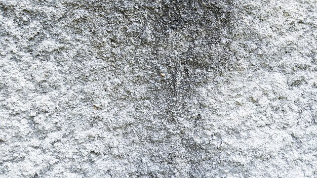 texture background of wall cement abstract background