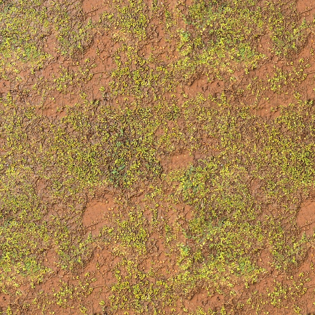Текстурный фон с коричневой грязью и зелеными листьями, с изображением ультра высокого качества