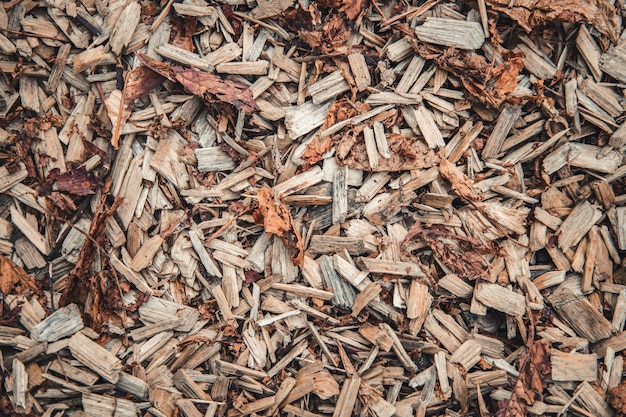 Texture background wood shavings dry leaves Top view flat lay