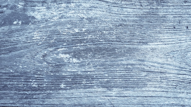 texture background of wooden with tone winter color