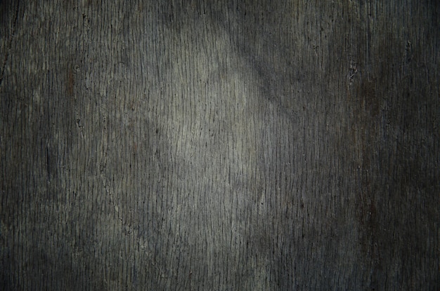 Photo texture of bark wood use as natural background