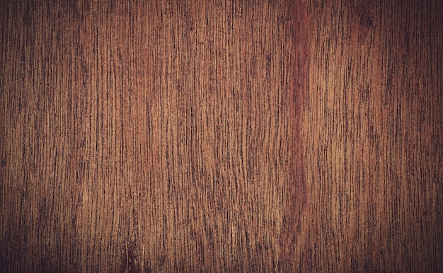 Texture di legno di corteccia usato come sfondo naturale