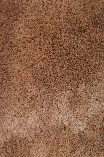 texture of beautiful natural brown sheepskin