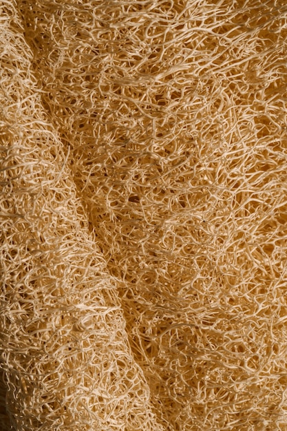 Texture of beige Loofah natural sponge closeup