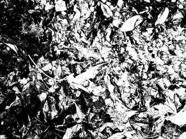 Texture Black and white effect Artistic Texture With JPG format