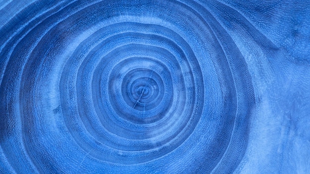 текстура синего деревянного фона с годовыми кольцами