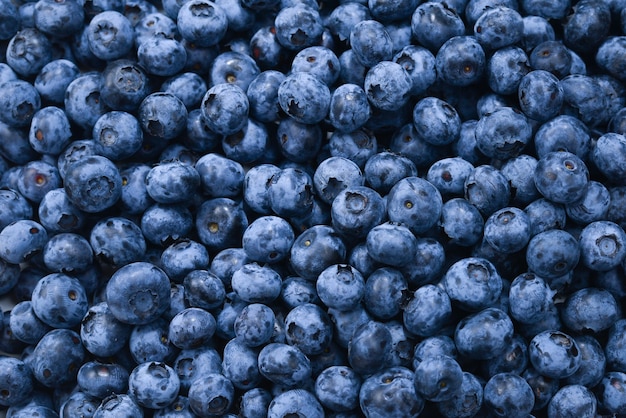 Texture blueberry berries close up