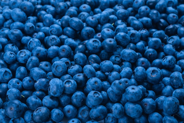 Texture blueberry berries close up