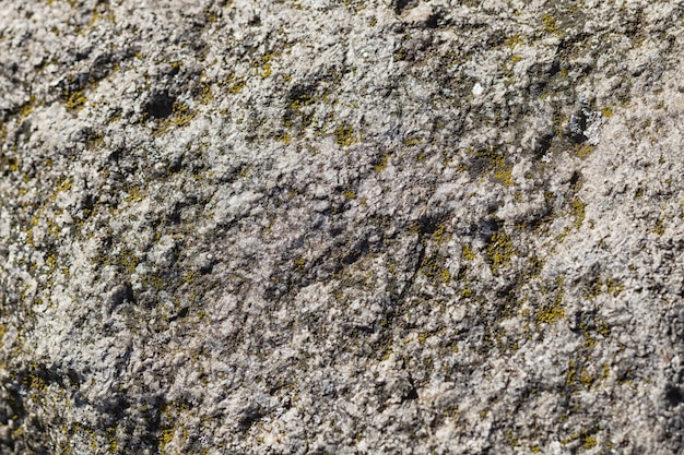 Texture of a boulder with moss 