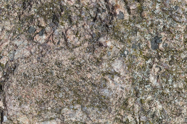 Photo texture of a boulder with moss