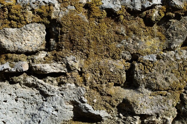 Texture of bricks made of stone Stone wall from colonial times