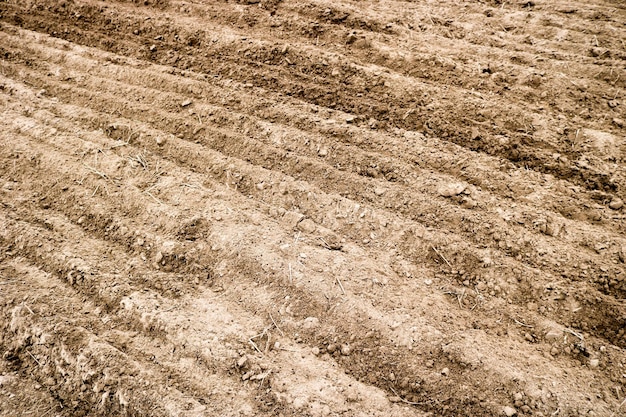 Texture of brown dug up dry ground with beds sand backdrop