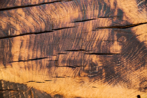 La trama del legno bruciato macchie nere sull'albero sfondo astratto