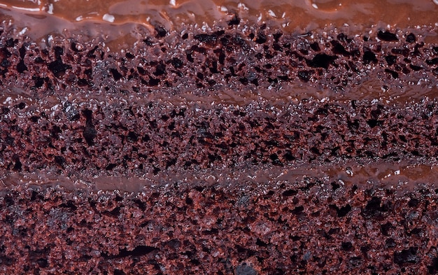 Texture of chocolate sponge cake.