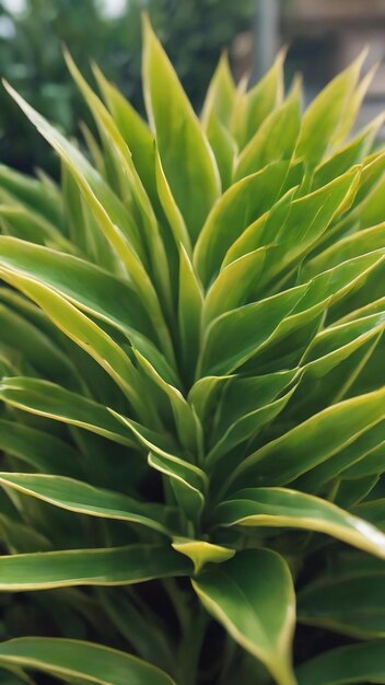 Texture of close up blurred plants