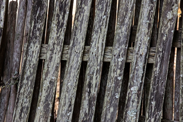 Photo texture: closeup of worn and unpainted wooden fence, typical of the countryside of brazil. sao paulo state