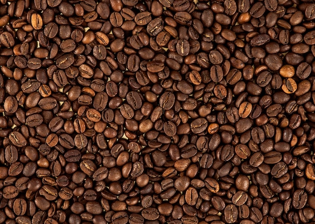 Photo texture of coffee beans