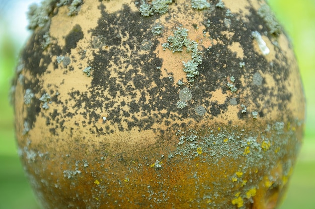 texture and color of an old clay vase