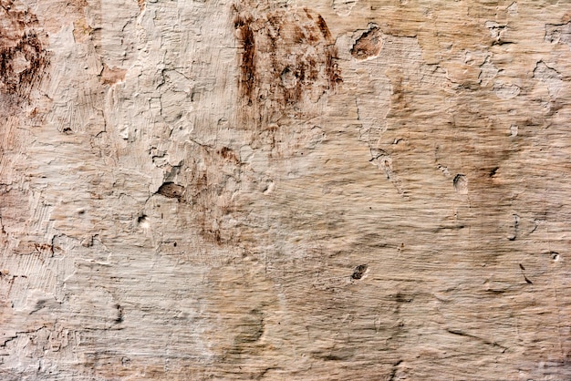 Foto trama di un muro di cemento con crepe e graffi che possono essere utilizzati come sfondo