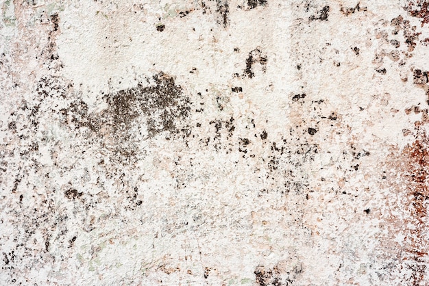 Texture of a concrete wall