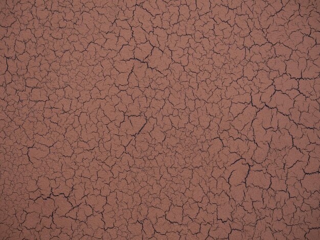 texture of cracked clay closeup