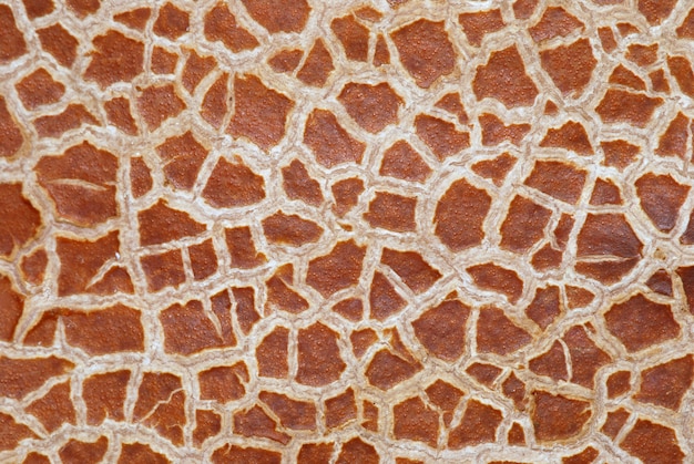 Texture of cracked peel background