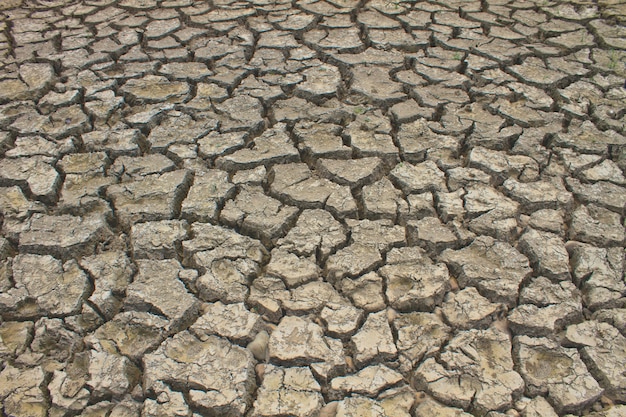 Texture of cracked soil ground