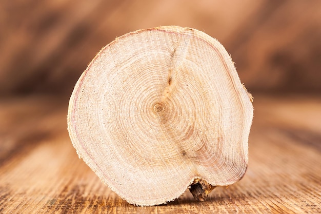 Photo texture of cross section wood logs. pattern of juniper tree stump background. circles juniper wood slice cross section with tree rings that show age organic history.