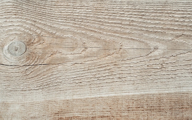 Texture of cut tree trunk rough wooden board surface closeup