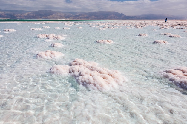 Texture of Dead sea. Dead sea salty shore. Wild nature.