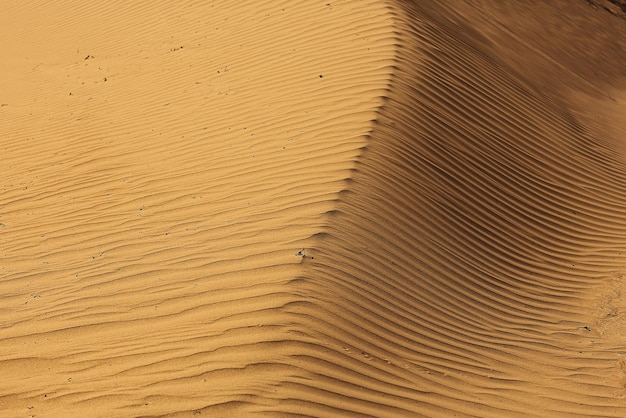 texture desert land sand dunes barkhans, deserts