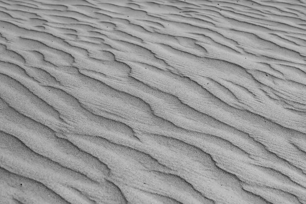 Photo texture desert land sand dunes barkhans, deserts