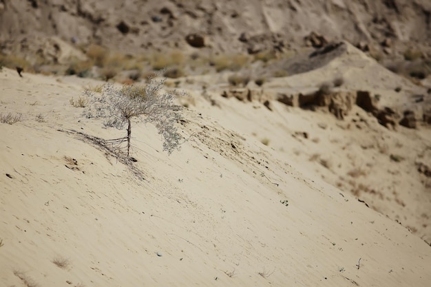 текстура пустыня земля песчаные дюны барханы, пустыни