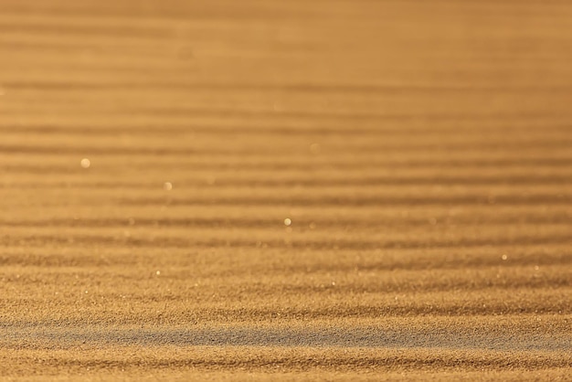 texture desert land sand dunes barkhans, deserts