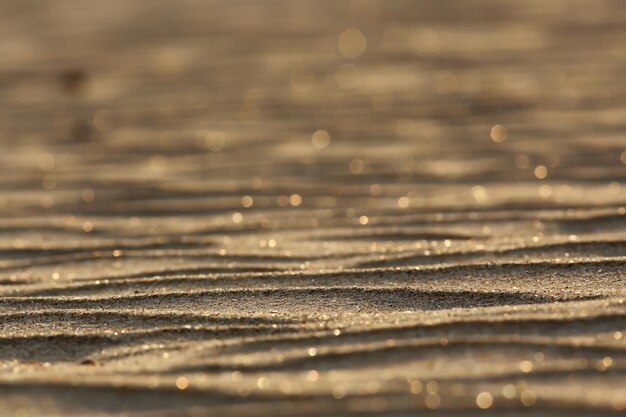 Photo texture desert sand dunes waves