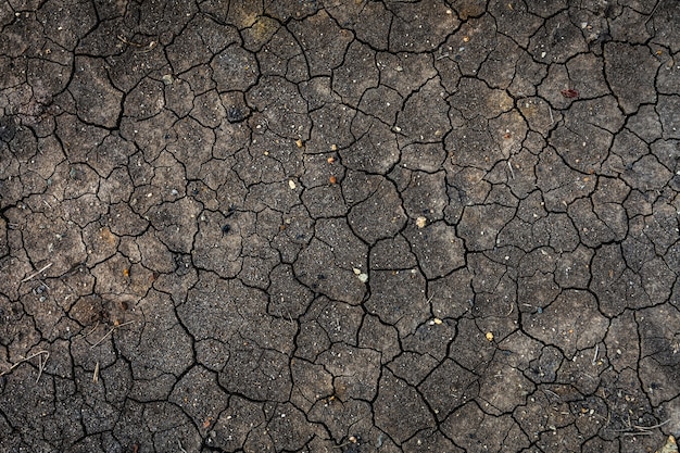 Texture di terra secca e screpolata a causa della mancanza di pioggia e della stagione della siccità.