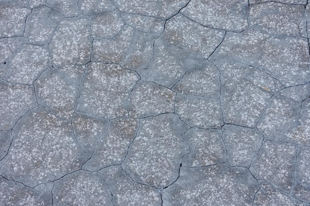 Photo texture of dried gray mud dried earth