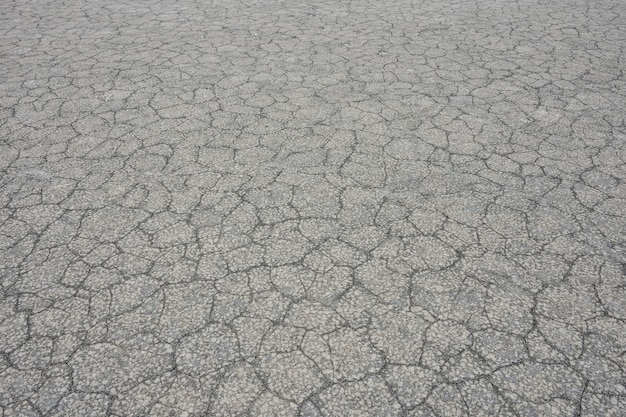 Texture di fango grigio essiccato, terra secca