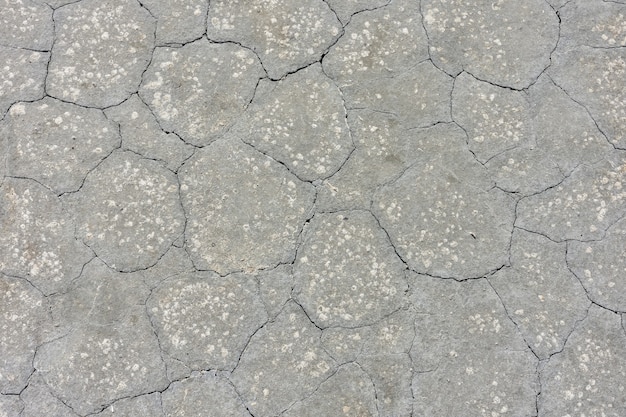 Texture of dried gray mud, dried earth