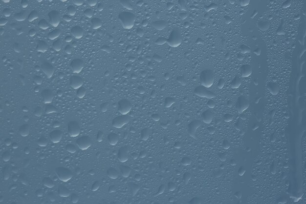 雨の滴が透明な背景に映る