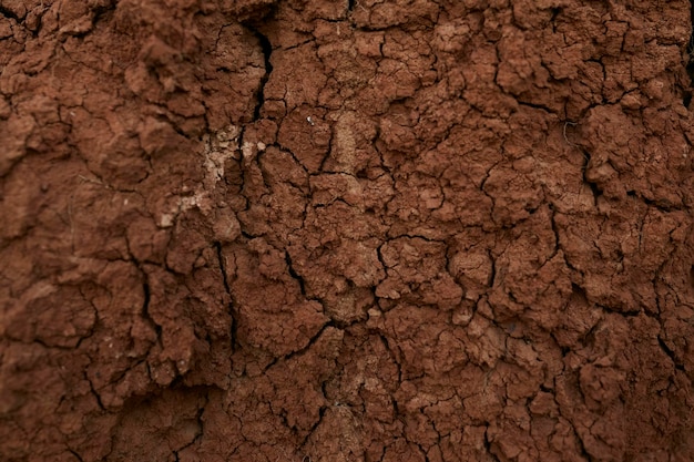 Texture of dry clay and earth close up