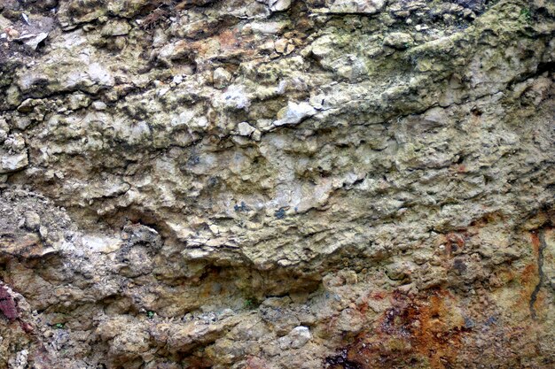 Texture of dry, cracked earth.