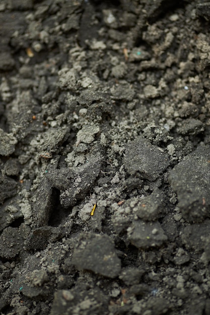 Texture of the earth Black soiltexture of the black fertile layer of the earth closeup