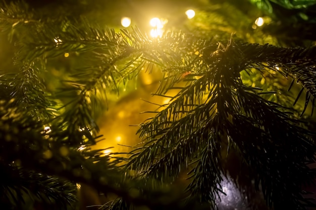 texture fir branch with lights. a fragment of the New Year and Christmas tree. close-up, soft focus, blur background