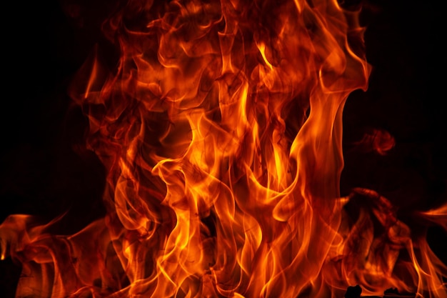 Texture of fire on a black background abstract fire flame background large burning fire